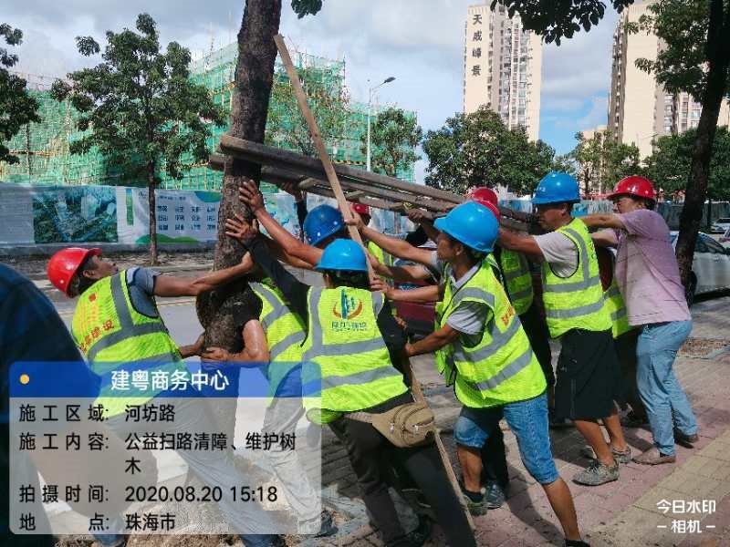 香港全年免费资料大全